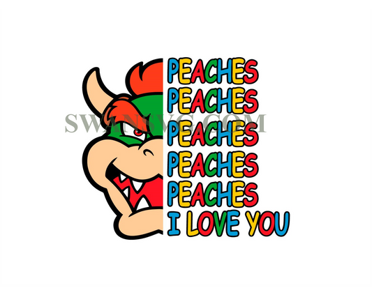 Peaches Peaches Peaches Bowser Png, Princess Peach I love you