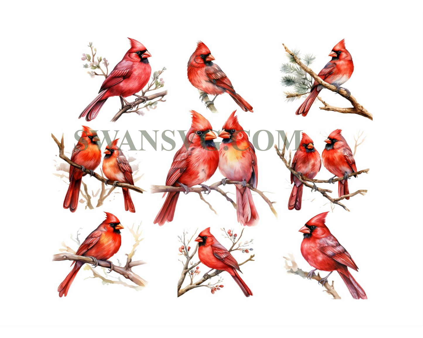 Watercolor Red Cardinal Clipart , Memorial, Cardinal Clipart