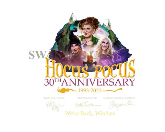 Hocus Pocus 30th Anniversary 1993 2023 PNG, Hocus Pocus Shirt, Were