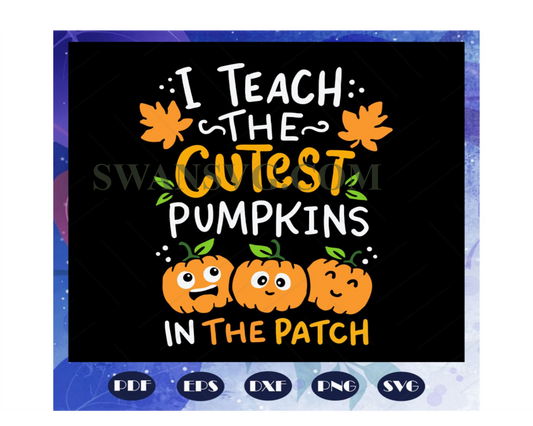 I teach the cutest pumpkins in the patch, pumpkin spice patch