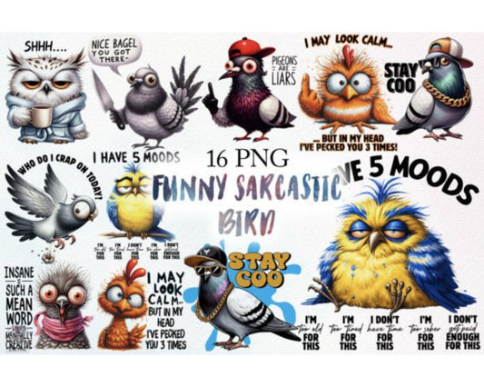 Funny Sarcastic Bird Sublimation Bundle